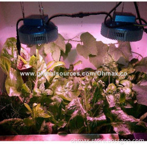 Round Indoor LED Grow Light, 90W, W/ Full Spectrum for Indoor Plants/Cucumber/Bitter Gourd/Lettuce